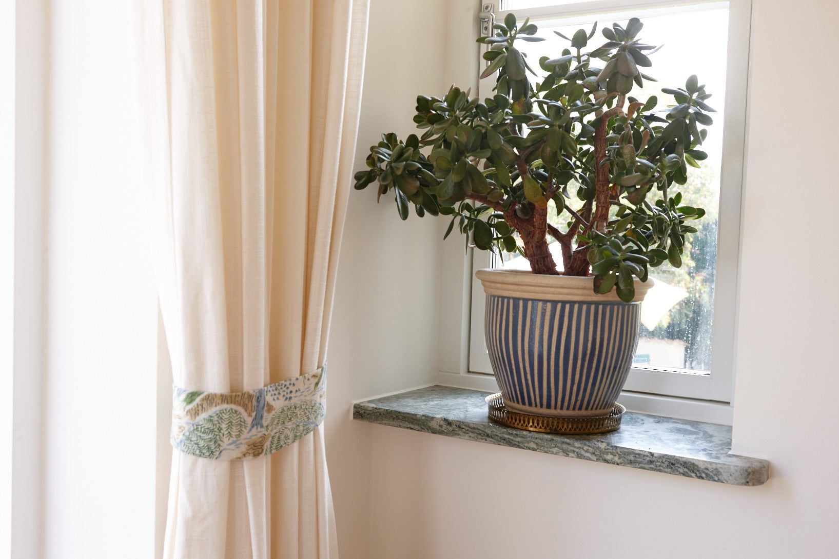 A curtain held back by an embroidered tieback, beside a jade plant on a windowsill